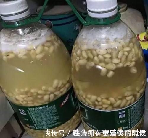 养兰2年的君子兰从未开花?学会浇水方法,长势旺开花美!