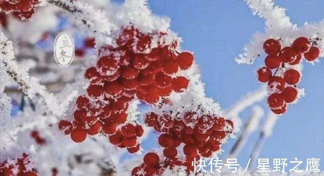 冬天@寒夜煮茗,围炉清谈。宋诗里的冬天温暖美好,是生活不可缺的诗意