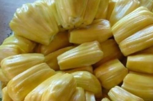 免疫功能|1物女性常吃，排湿气补气血，子宫越来越好，妇科病远离你！