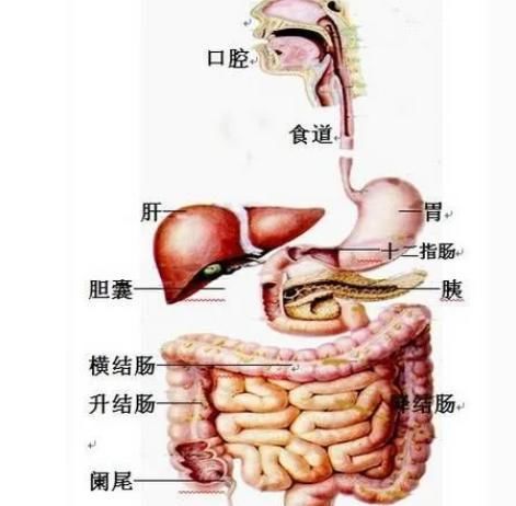 进展期|胃癌死亡率高,不是医生水平、医疗能力不行,是患者真的不重视