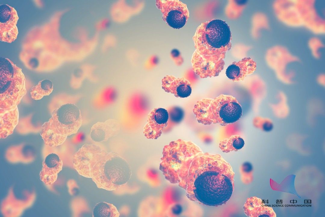 1個(gè)西紅柿能防4種癌？警惕！有一種會(huì)致癌，千萬別吃…