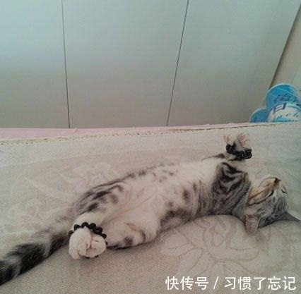 |幽默笑话:闺蜜打电话给我说她出车祸了,我赶去医院时……