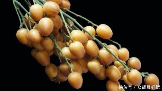 却少|南方这种小果子,既是水果又可入药,润肺止咳比梨好,却少有人知