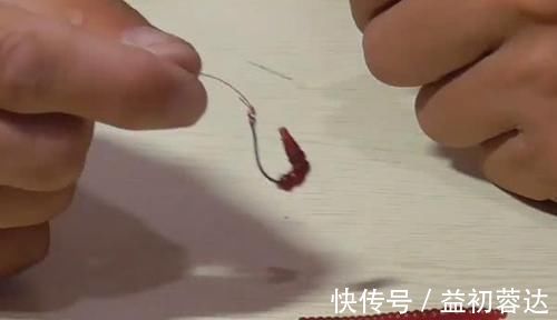 钩体|蚯蚓钓鱼使用小技巧,让钓鱼爱好者少走弯路