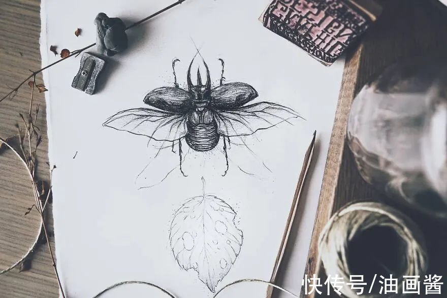 素描@艺术家公开自己的速写本,风格化的动物素描,?个个惹人爱