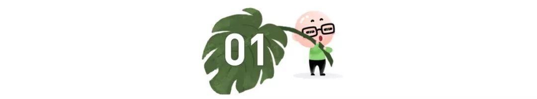 有奖|生娃有奖,但一年内必须瘦回来!