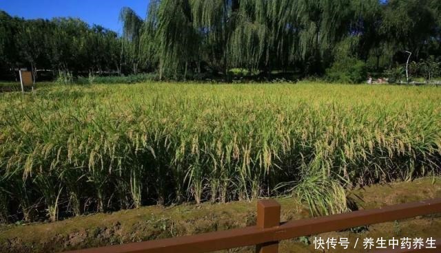 「方志」10号线上的巴沟站,你了解它的历史吗