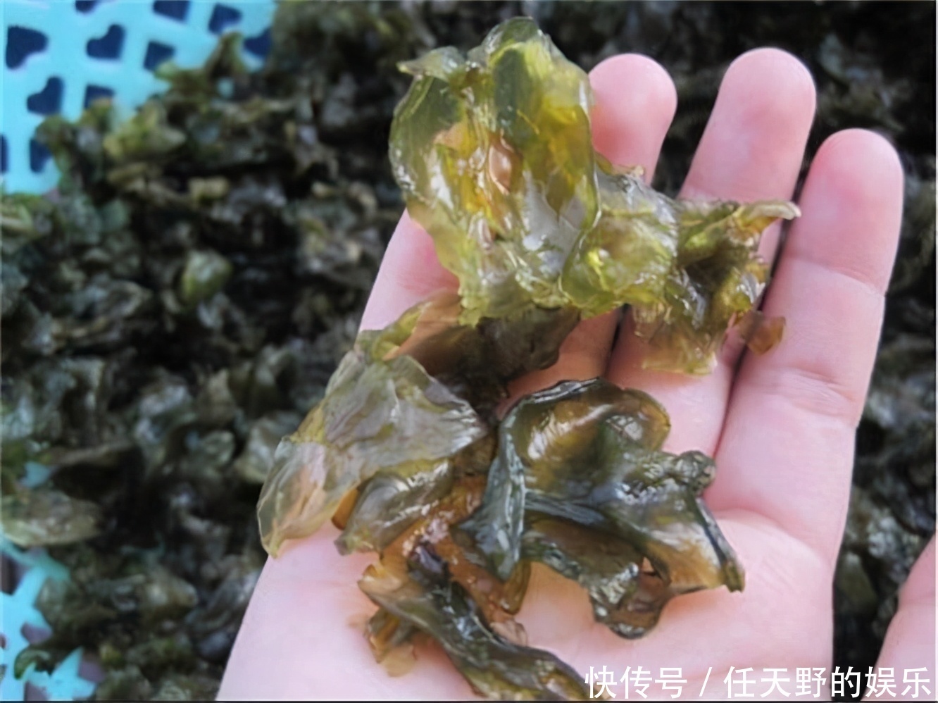 冬天来了,多吃此食物,能排毒抗衰,改善气血,早吃早受益