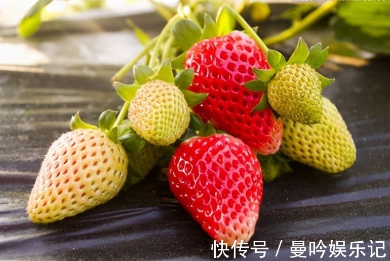 食物|会吃的人最健康，3种食物经常吃，排毒消脂，抗衰老，增强抵抗力