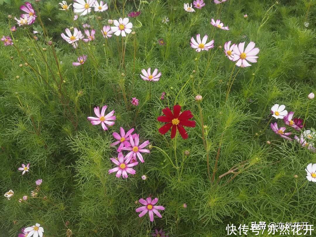 人物形象|如何把人物写活，写真实