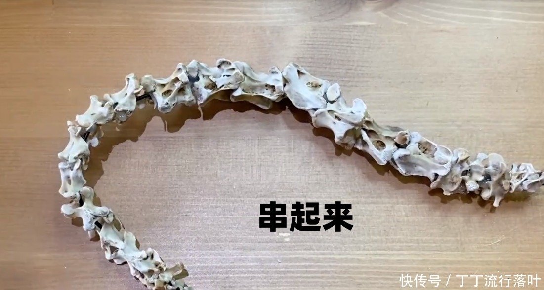 大神和菜鸟|手工大神啃完鸡鸭不要扔,裹上保鲜膜,钢铁直男馋哭了