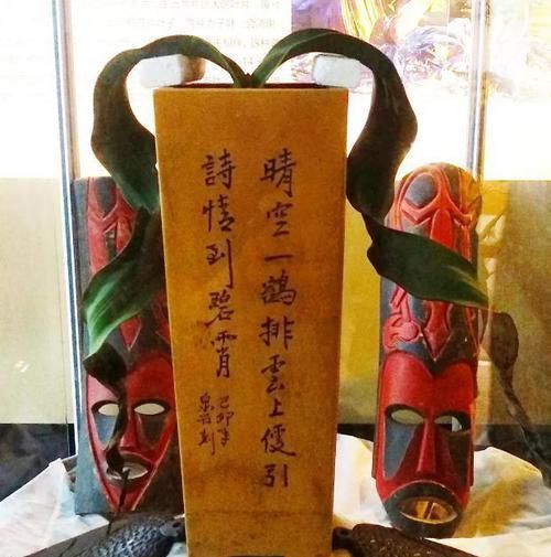  垂吊植物|垂吊类绿植：绿萝、吊兰看腻了!盆栽这些花卉，漂亮、好养