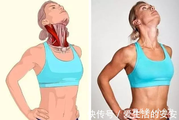 肌肉|终于找到了,这套全身拉筋3D图解,打通全身经络,太难得了