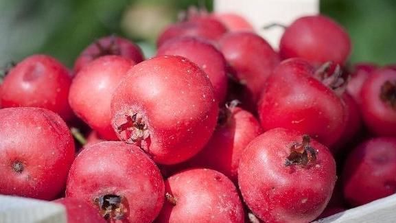 女人|3物是天然的“黄体酮”,专家:女人偷偷吃点,3大烦恼不再有!