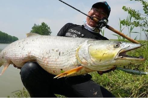 俗称水老虎，淡水养殖的害鱼，能吃掉水中所有鱼，一条能卖上千元