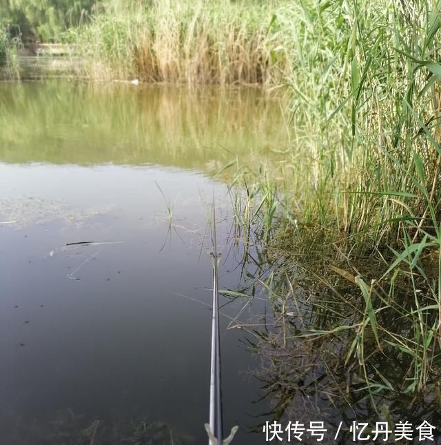 大鱼|高温天,钓大鱼先克服这些“难题”,不是我吹,渔获瞬间猛增几倍