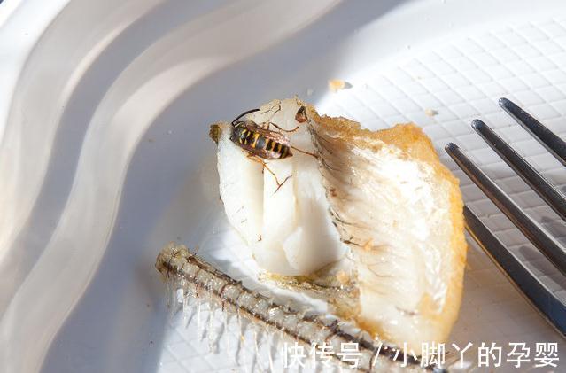 要想盆栽花卉长的旺，万能土不能少