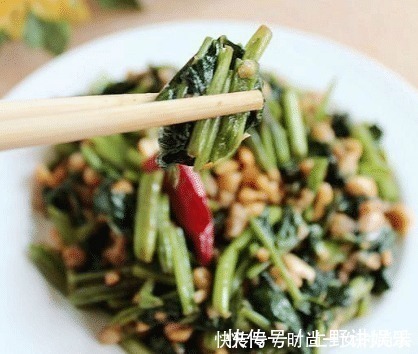 瘦肉|最近我家迷上了这道菜,比韭菜都要鲜,吃起来香甜脆嫩,堪称美味