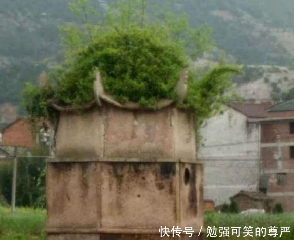 任由|清朝时期的“婴儿塔”，到底有多残忍？任由婴孩自生自灭