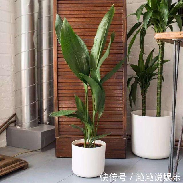 装修|让新家变美的6个软装小技巧，实用简单，从细节入手新家美翻天
