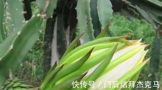利尿消肿|秋天适合养生,推荐吃的食物,消除体内毒素,利尿消肿,肌肤更好