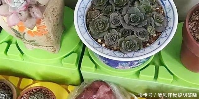 意义|“百家宴”变成“全蛋宴”，老师蒙了，你们误会了亲子作业的意义