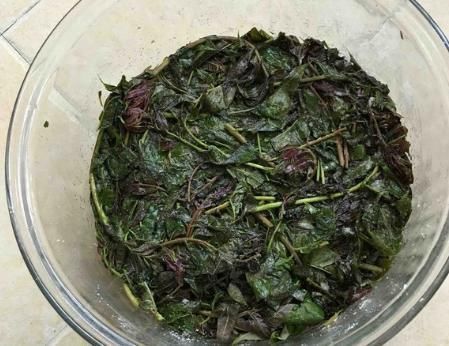 腌香椿,香椿要不要焯水?十几年老方法教给你,放一年都脆嫩鲜香