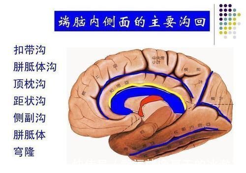 时间观|宝宝三岁前,如果有这四个好习惯,说明宝妈把他养的很优秀