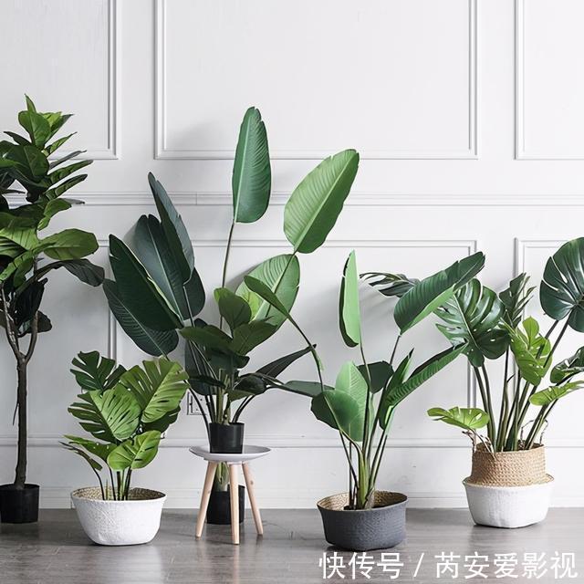 白纱帘|7个让家变美的小技巧，不费钱效果却很好