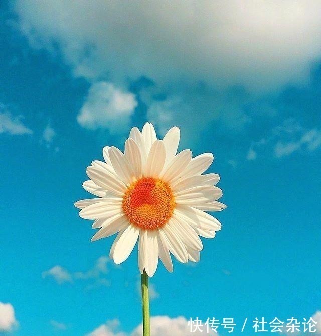 人生|令人受益匪浅的一段话,经典有理,能改变自己!