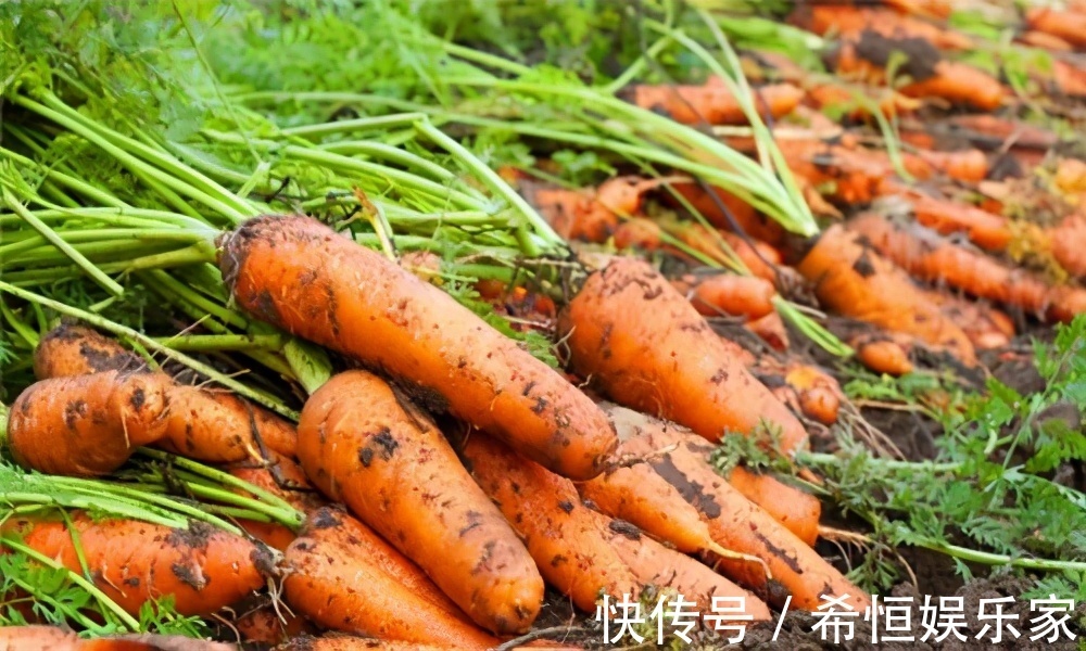 胡萝卜素|女性想要皮肤好,坚持吃三种美食,抗氧化,淡化色斑,吃了显年轻