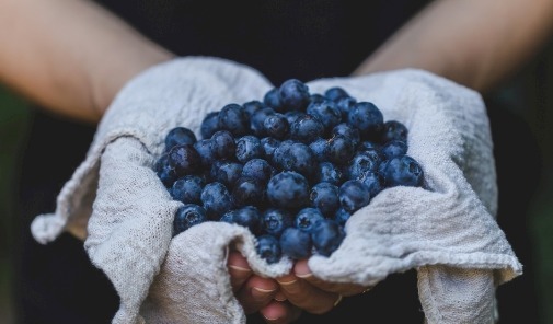 蓝莓好吃营养多教你挑选蓝莓的4个小窍门，保证新鲜味道美