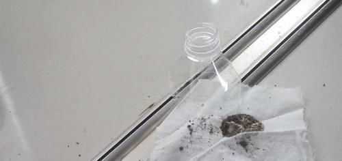 在门口放一个塑料瓶,太聪明了,解决了困扰大家的一大难题,真棒