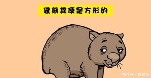 世界冷知识,很多人可能并没有听说过,最后一个让人感到愤懑