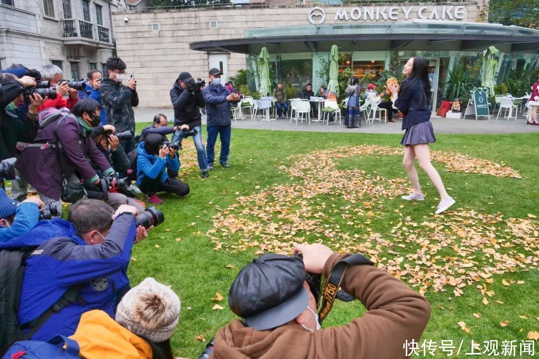 花园|百年花园中的银杏迎来颜值“巅峰”，观赏季将持续至12月中下旬