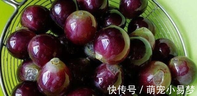 夏天|夏天,遇到此果我必买10斤,补钙又补铁,锅中一煮爽滑又筋道