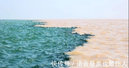 渤海水|为什么渤海水和黄河水不相融，专家揭秘无非就这两个原因，太神奇