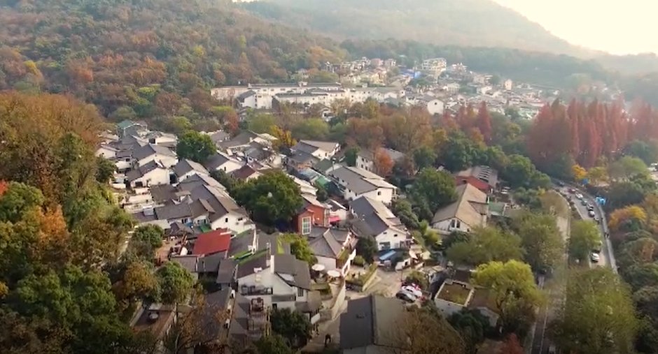 叶虹|虎年春节杭州市文旅局为市民送出“超级大礼包”