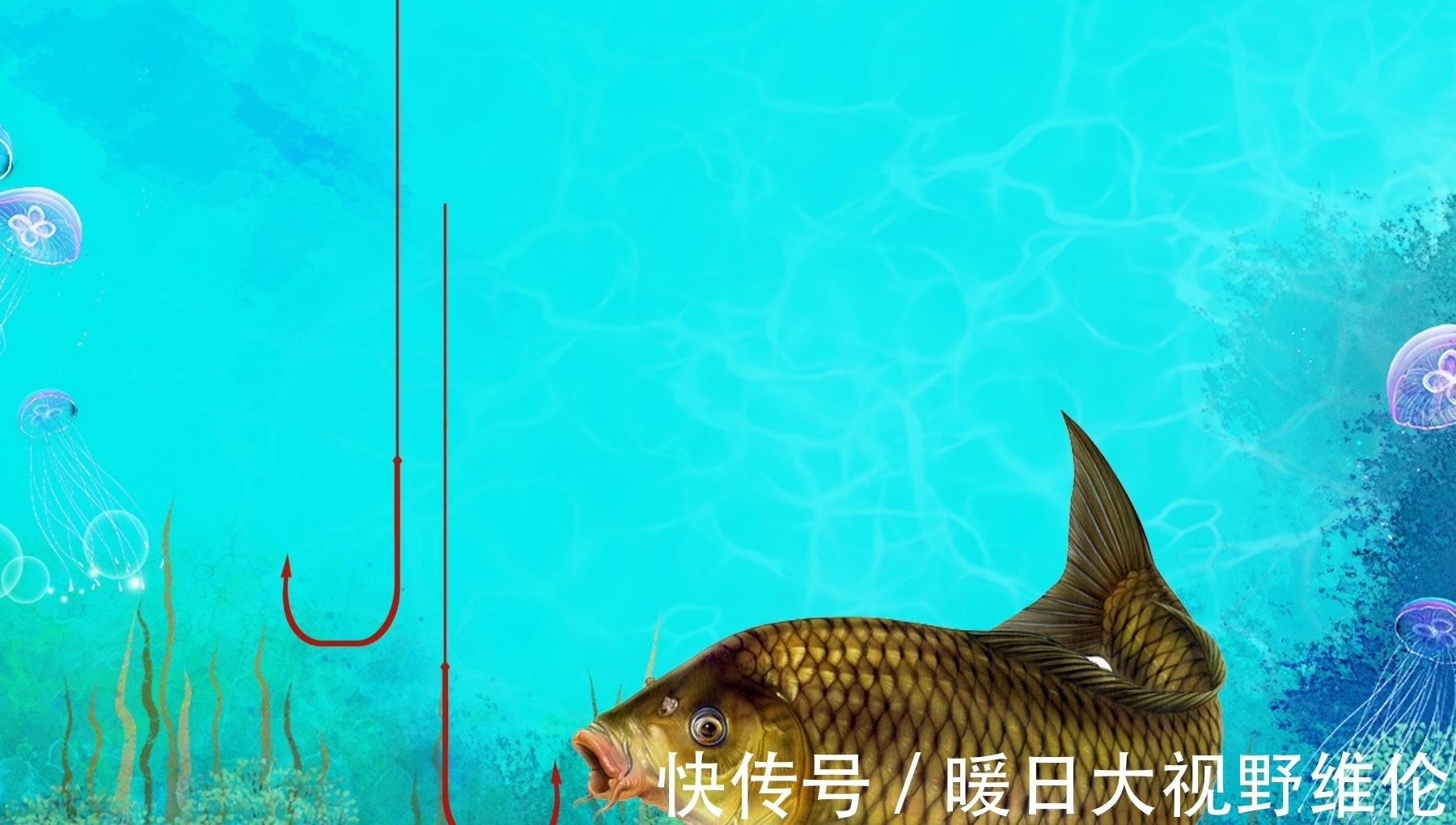 饵料|在肥水和臭底黑坑钓鱼,如何让鱼开口?在黑坑钓鱼的促开口技巧