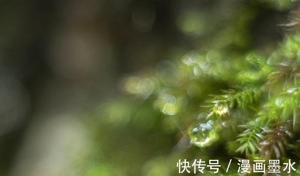 双子座|往后9天，旧情刻骨，回眸是你，主动求和，姻缘再续，相守一生