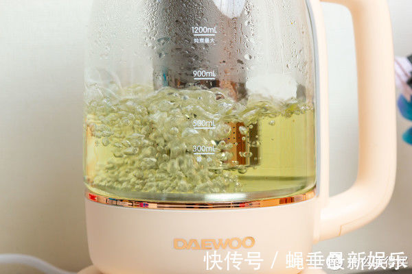 养生茶|人到中年不由己,保温杯里泡枸杞!秋季养生实用工具,大宇养生壶使用体验