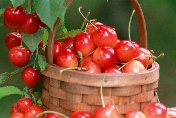 苹果|六种最常见的水果, 也是糖尿病很怕的以下六个水果, 糖友要常吃