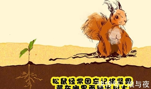 即便知识渊博的人也未必知道的7个冷知识