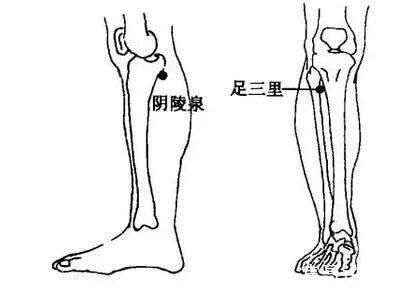三阴交穴|脾,后天之本!老中医带你品味人体脾经大药!补脾通络,胜吃补药