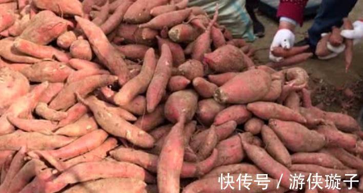 红薯随便放，难怪会发芽发霉！做好2个步骤，放一冬不烂不长芽