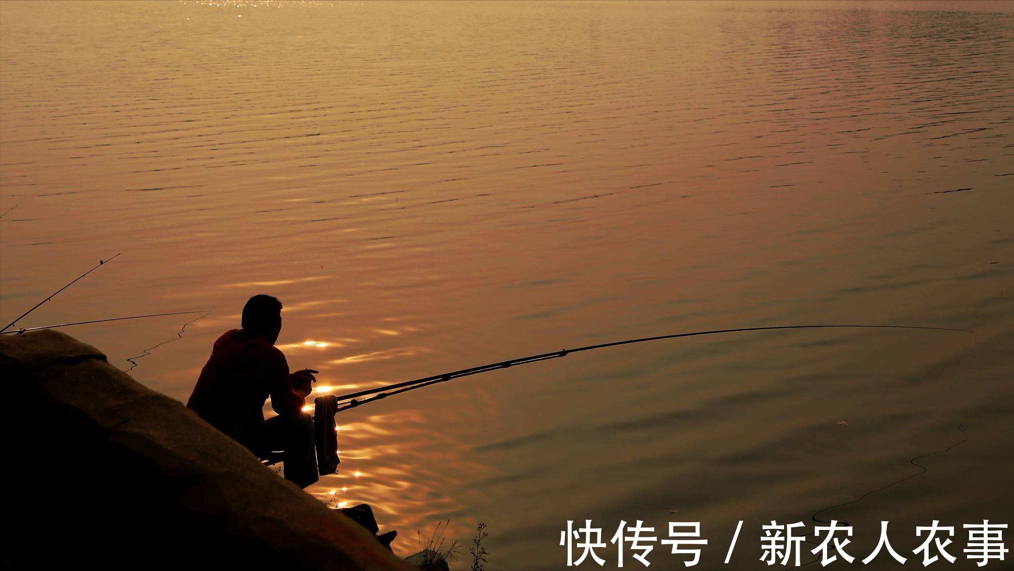 钓了3条鱼要求赔偿五万元,江西3名男子摊上事了,双方都应该反思