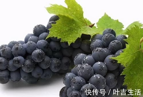 维生素c|爱美的女人常吃以下食物,细腻肌肤,淡化色斑,胜过敷面膜