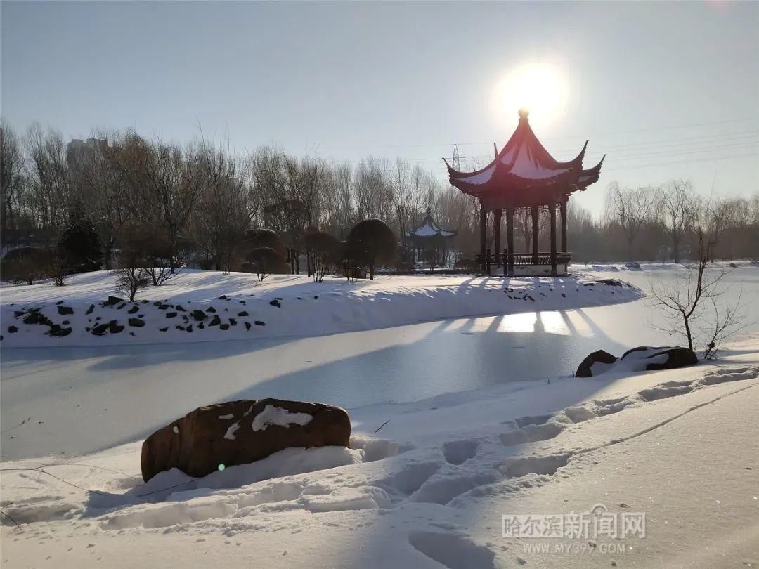 亭园|中国亭园不闭园，拍照打卡赏雪绝佳