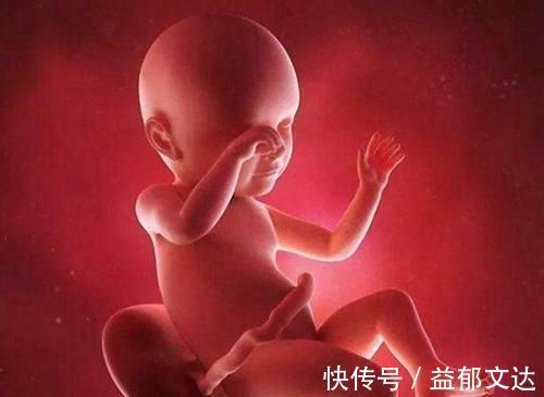 卵子|宝宝的性别是什么时候决定的,是受精时还是受精后呢