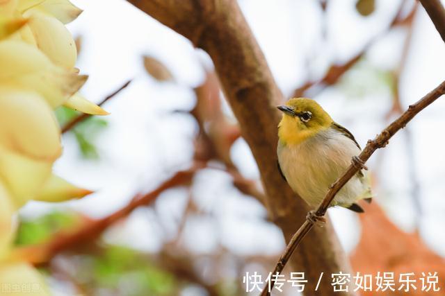 守信|一个有教养的人,总会在这四个方面做得很好